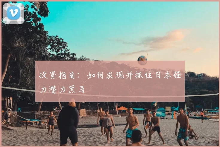 投资指南:如何发现并抓住日本强力潜力黑马